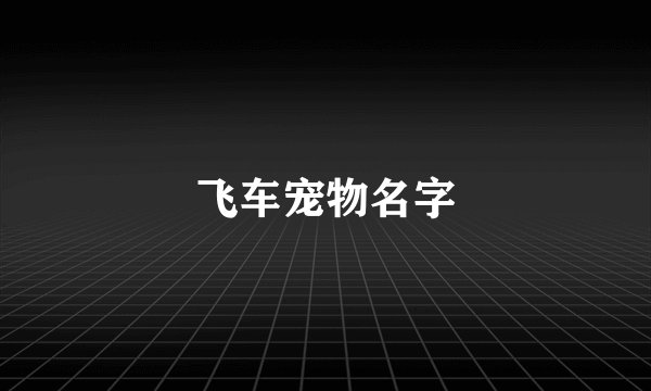 飞车宠物名字