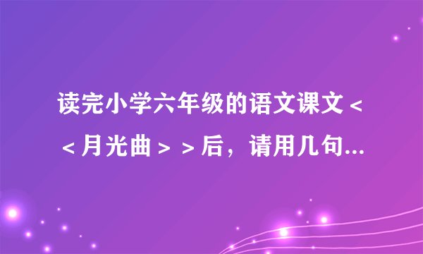 读完小学六年级的语文课文＜＜月光曲＞＞后，请用几句话赞美一下贝多芬！