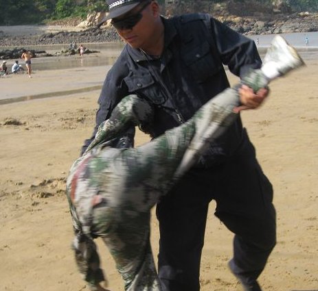 CQC与CQB有什么区别？