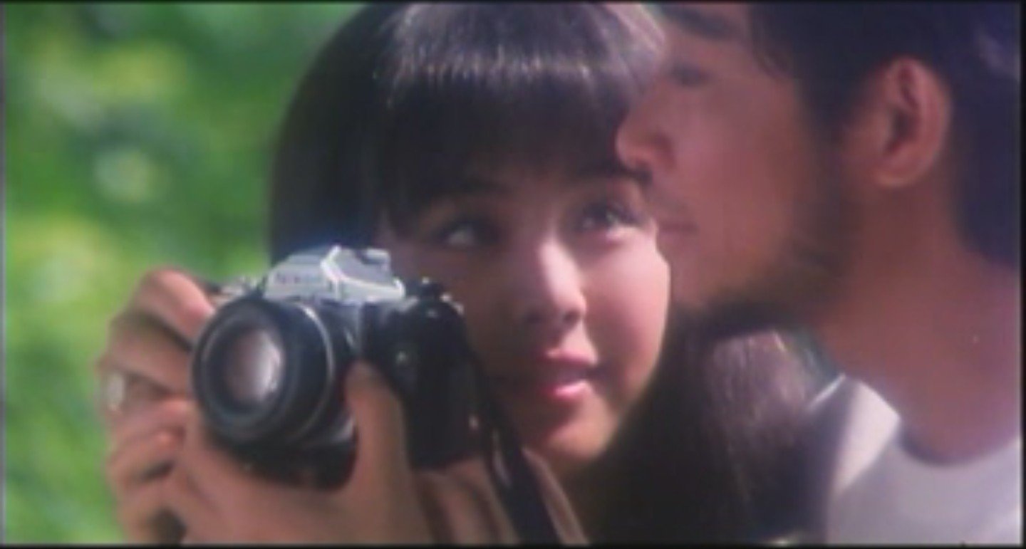 今年的湖畔会很冷的介绍