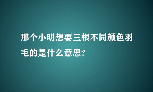 那个小明想要三根不同颜色羽毛的是什么意思?