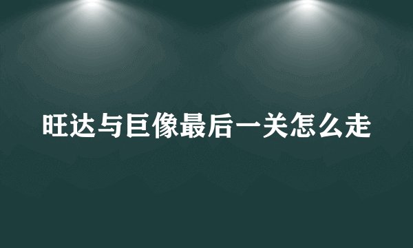 旺达与巨像最后一关怎么走