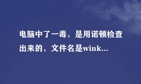 电脑中了一毒，是用诺顿检查出来的，文件名是winkawaks.exe 找不到在哪 诺顿删不掉