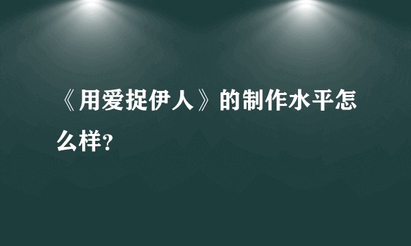 《用爱捉伊人》的制作水平怎么样？
