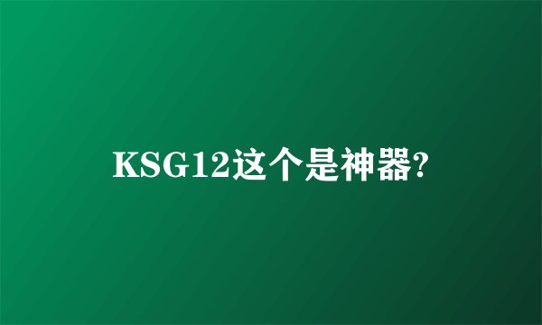 KSG12这个是神器?