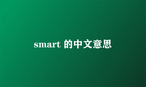 smart 的中文意思
