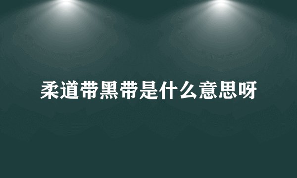 柔道带黑带是什么意思呀