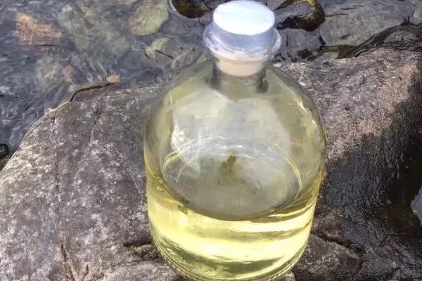 素酒是什么意思