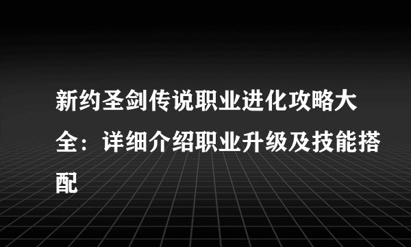 新约圣剑传说职业进化攻略大全：详细介绍职业升级及技能搭配