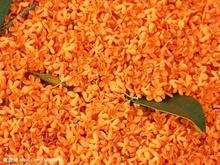 最后一个字是的桂四字成语有那些