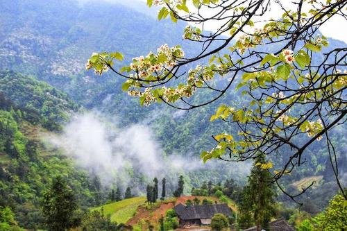 花开山乡讲的什么故事？