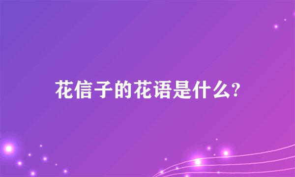 花信子的花语是什么?