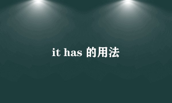 it has 的用法