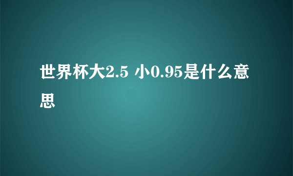 世界杯大2.5 小0.95是什么意思