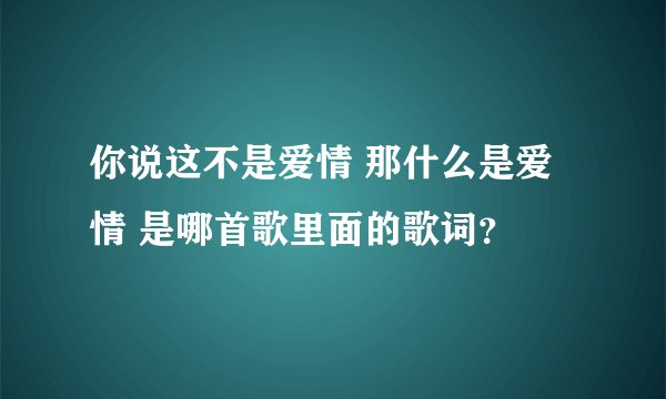 你说这不是爱情 那什么是爱情 是哪首歌里面的歌词？