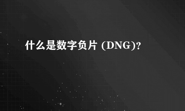 什么是数字负片 (DNG)？