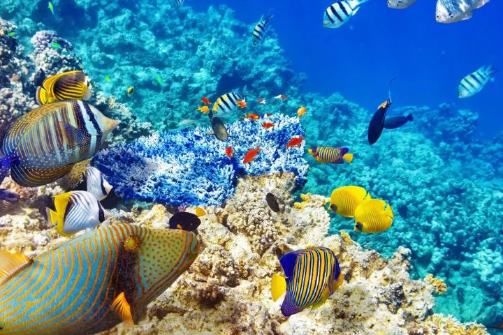 洋洋洒洒造句子