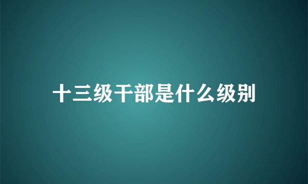 十三级干部是什么级别