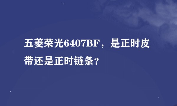 五菱荣光6407BF，是正时皮带还是正时链条？