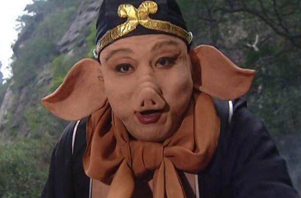 猪八戒在取经路上，他起到了什么作用？