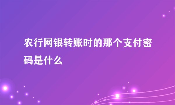 农行网银转账时的那个支付密码是什么