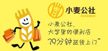 如何评价“小麦公社”这一组织？