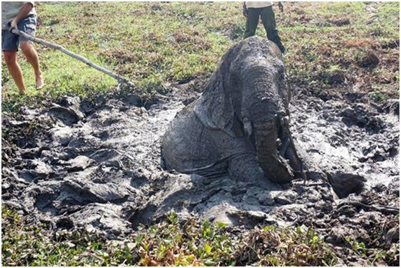 泥潭的意思和读音