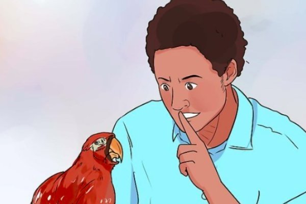 语音声音调小声点