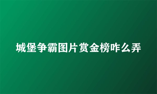 城堡争霸图片赏金榜咋么弄