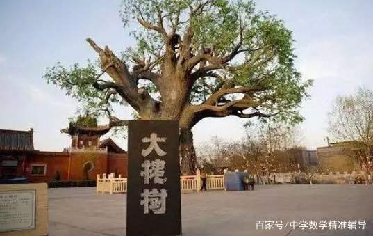 农村的谚语“门前一颗槐，不挣自己来”，有没有道理？