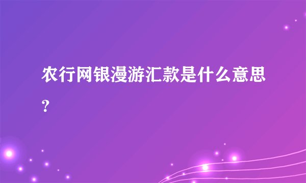 农行网银漫游汇款是什么意思？