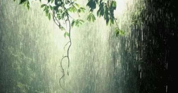 雨具先去的意思