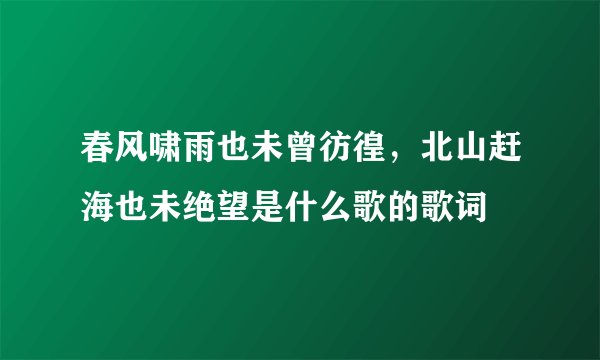 春风啸雨也未曾彷徨，北山赶海也未绝望是什么歌的歌词