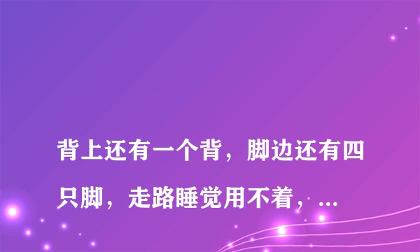 
背上还有一个背，脚边还有四只脚，走路睡觉用不着，写字画画要它帮什么生肖

