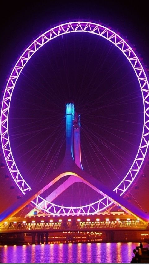 紫色摩天轮的介绍