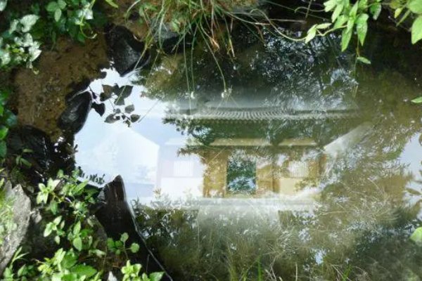 有影无踪指什么意思