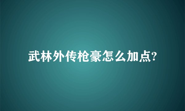 武林外传枪豪怎么加点?