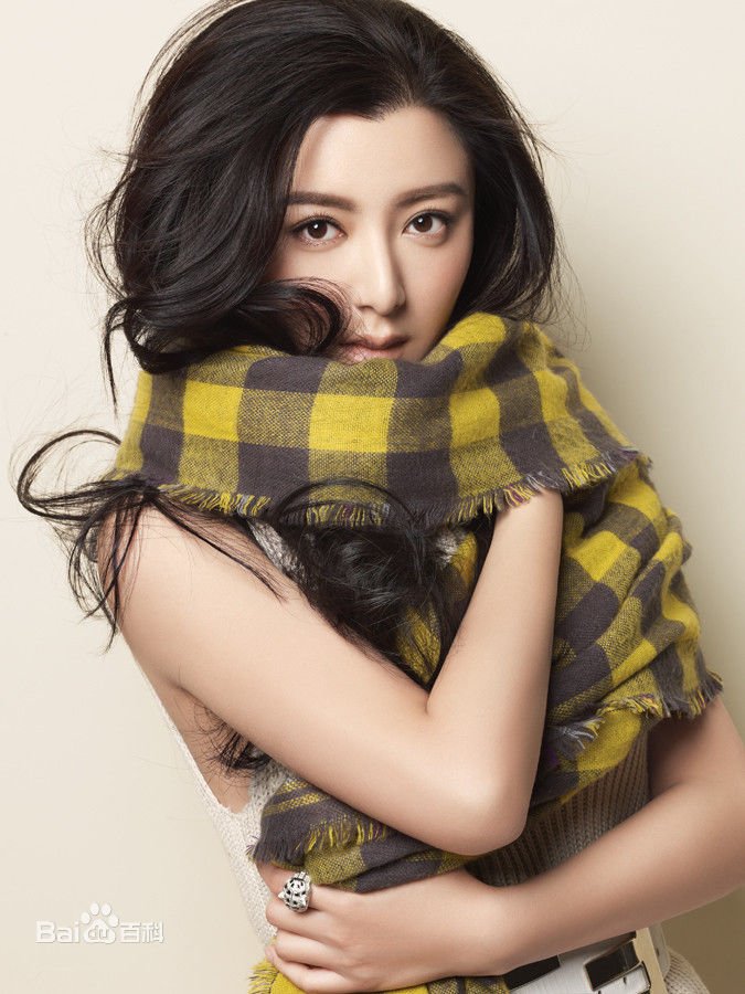 陈延嘉还演了什么连续剧