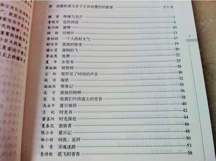 惜春记的内容简介