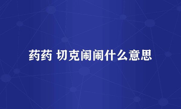 药药 切克闹闹什么意思