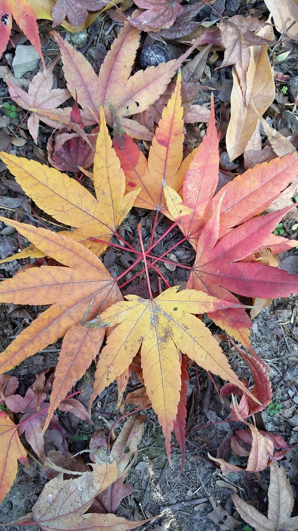 我跟我朋友说，厂里忙没法出去，她回复我说，没事，你忙你的。她这句话是什么意思，语气咋感觉怪怪的？