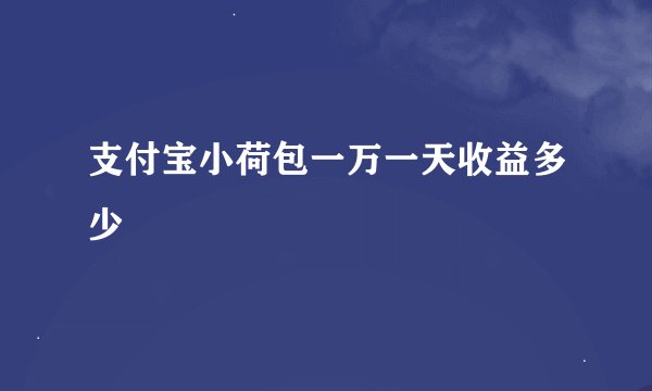 支付宝小荷包一万一天收益多少