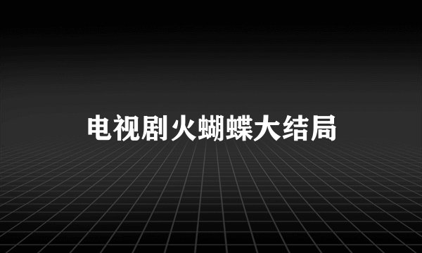 电视剧火蝴蝶大结局