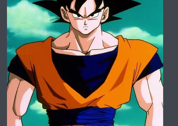 七龙珠真假悟空对打是那集