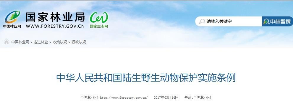 大家好， 这是什么动物？我刚捉的会不会犯法啊？