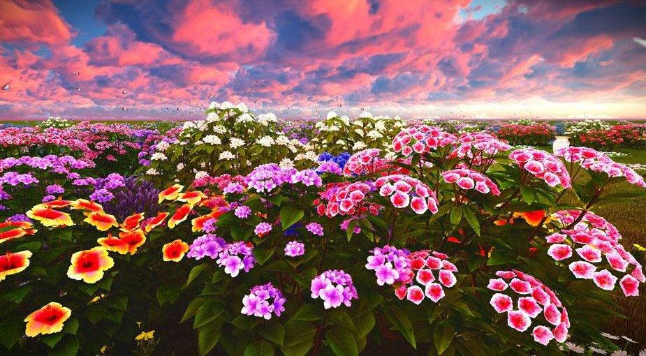 什么地、什么的、什么得？