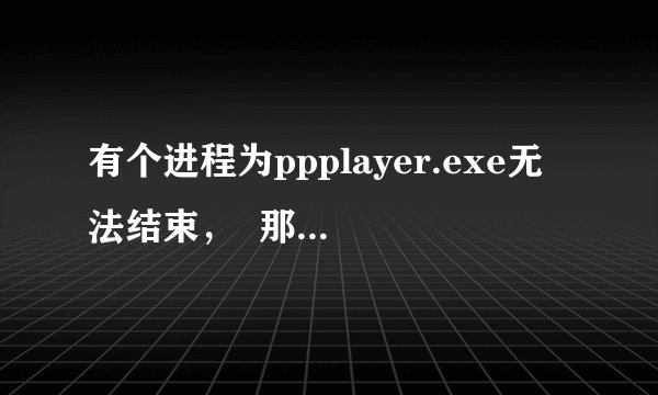 有个进程为ppplayer.exe无法结束，  那位大哥帮忙解决下  谢谢！！！
