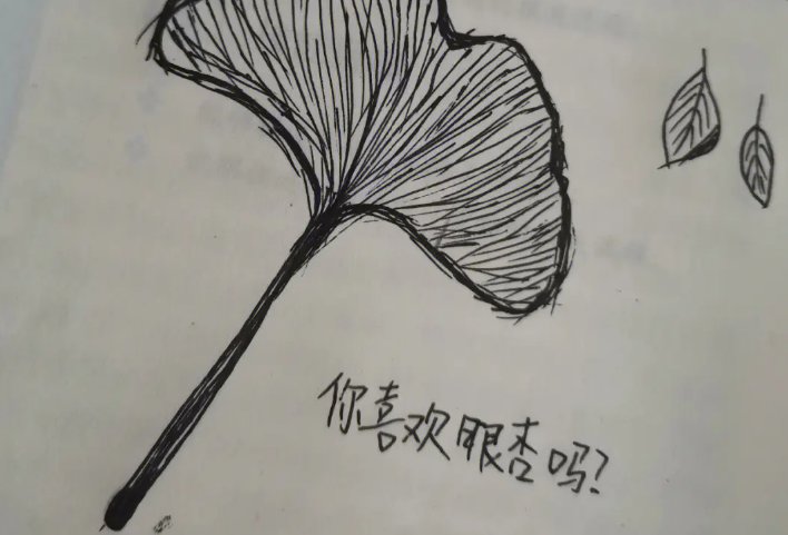 你喜欢银杏吗？