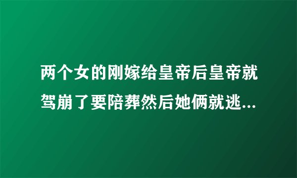 两个女的刚嫁给皇帝后皇帝就驾崩了要陪葬然后她俩就逃跑了是什么电影