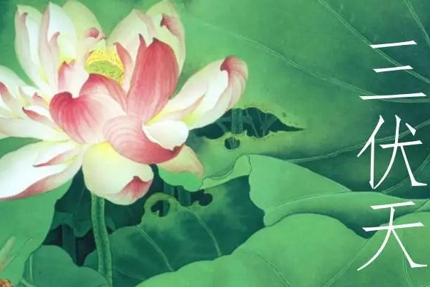 一伏二伏三伏顺口溜